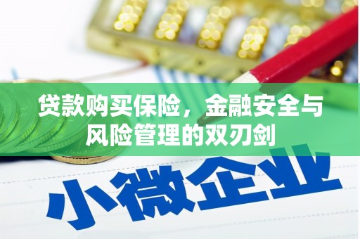 湖北贷款购买保险，金融安全与风险管理的双刃剑