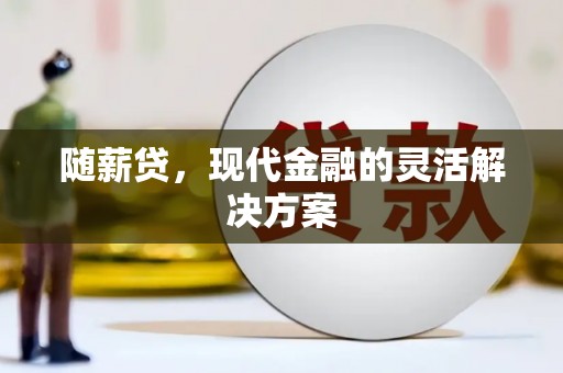 湖北随薪贷，现代金融的灵活解决方案
