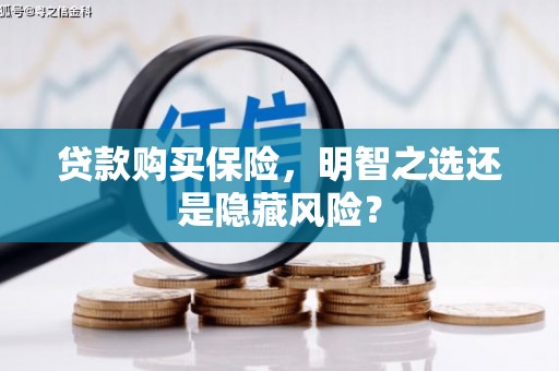 湖北贷款购买保险，明智之选还是隐藏风险？