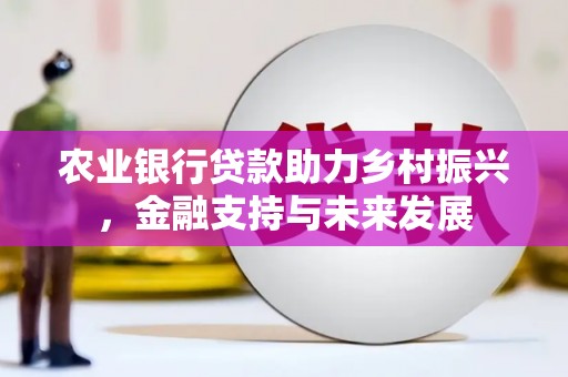 湖北农业银行贷款助力乡村振兴，金融支持与未来发展