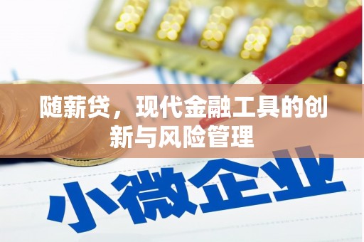 湖北随薪贷，现代金融工具的创新与风险管理