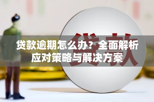 湖北贷款逾期怎么办？全面解析应对策略与解决方案
