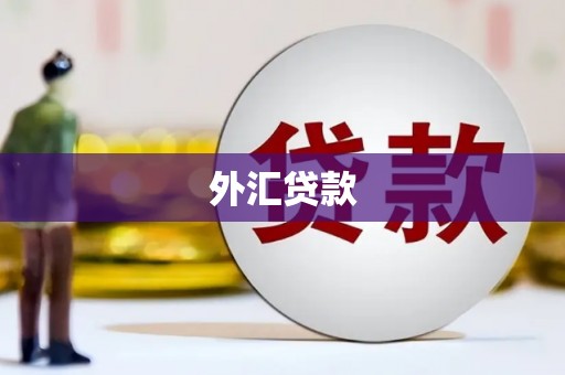 湖北外汇贷款