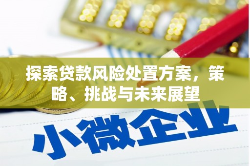 湖北探索贷款风险处置方案，策略、挑战与未来展望