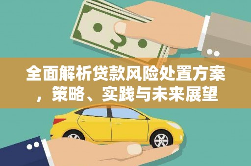 湖北全面解析贷款风险处置方案，策略、实践与未来展望