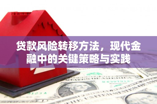 湖北贷款风险转移方法，现代金融中的关键策略与实践