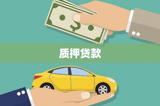 湖北质押贷款