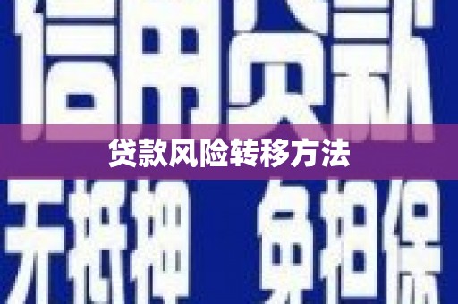 湖北贷款风险转移方法