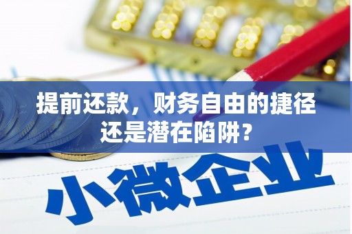 湖北提前还款，财务自由的捷径还是潜在陷阱？