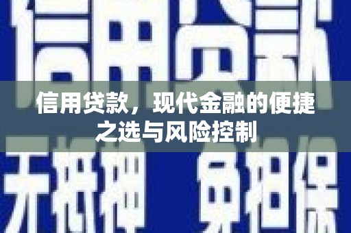 湖北信用贷款，现代金融的便捷之选与风险控制