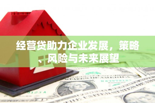 湖北经营贷助力企业发展，策略、风险与未来展望