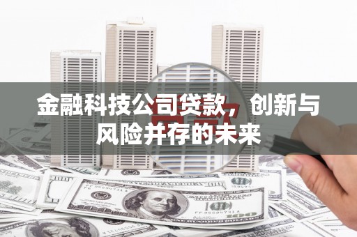 湖北金融科技公司贷款，创新与风险并存的未来