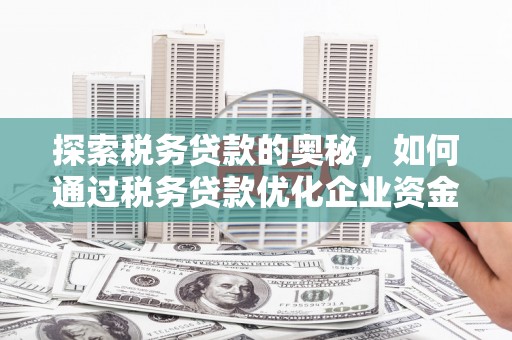 湖北探索税务贷款的奥秘，如何通过税务贷款优化企业资金流