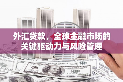 湖北外汇贷款，全球金融市场的关键驱动力与风险管理