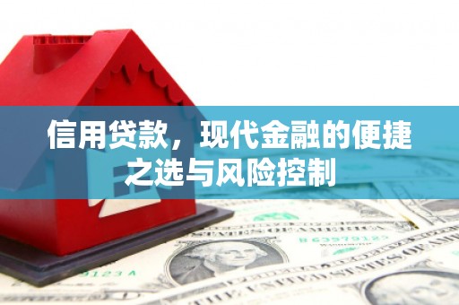 湖北信用贷款，现代金融的便捷之选与风险控制