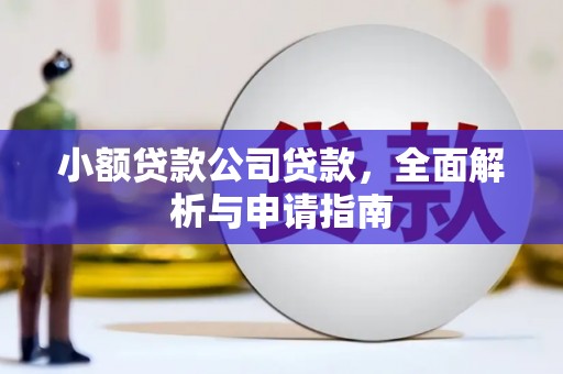 湖北小额贷款公司贷款，全面解析与申请指南