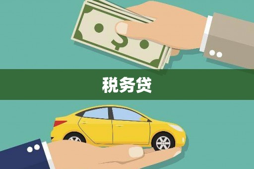 湖北税务贷