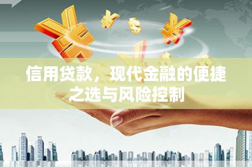 湖北信用贷款，现代金融的便捷之选与风险控制