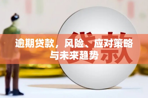 湖北逾期贷款，风险、应对策略与未来趋势