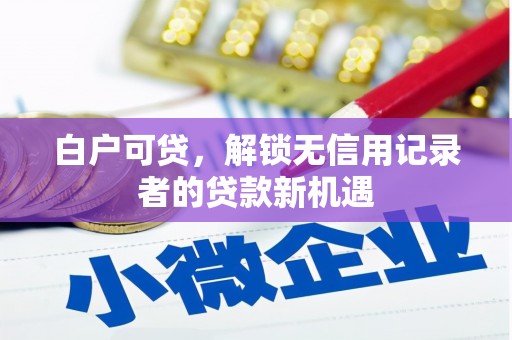 湖北白户可贷，解锁无信用记录者的贷款新机遇