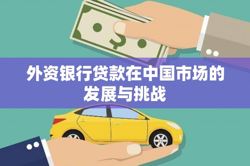 湖北外资银行贷款在中国市场的发展与挑战