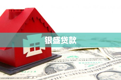 湖北银盛贷款