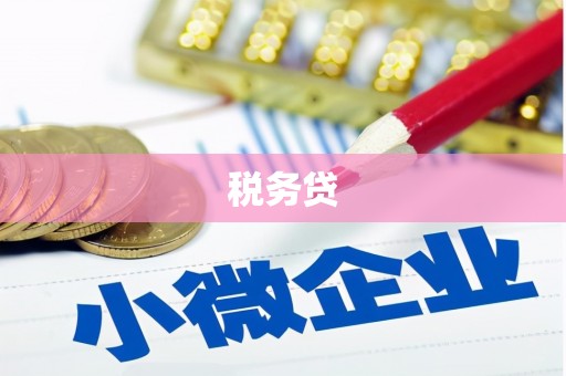 湖北税务贷