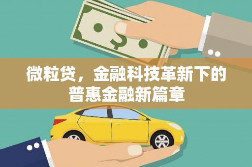 湖北微粒贷，金融科技革新下的普惠金融新篇章
