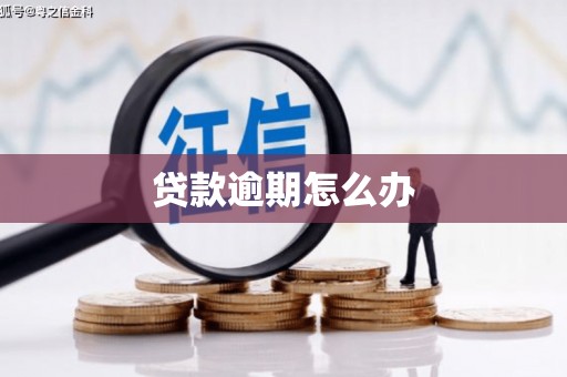 湖北贷款逾期怎么办