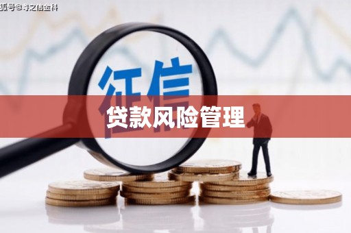 湖北贷款风险管理