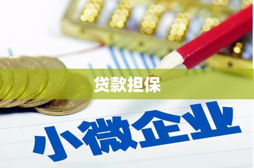 湖北贷款担保