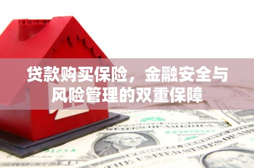 湖北贷款购买保险，金融安全与风险管理的双重保障