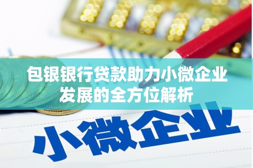 湖北包银银行贷款助力小微企业发展的全方位解析