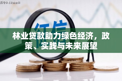 湖北林业贷款助力绿色经济，政策、实践与未来展望