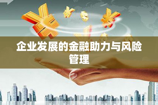 湖北企业发展的金融助力与风险管理