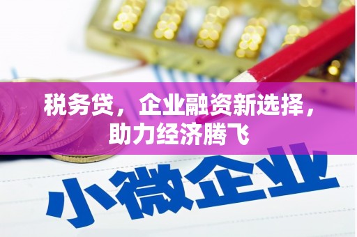 湖北税务贷，企业融资新选择，助力经济腾飞