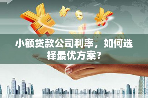 湖北小额贷款公司利率，如何选择最优方案？