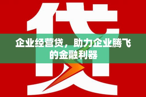湖北企业经营贷，助力企业腾飞的金融利器