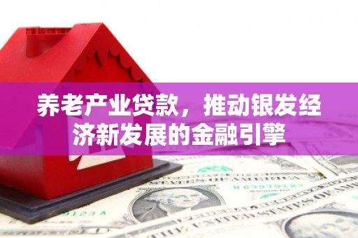 湖北养老产业贷款，推动银发经济新发展的金融引擎