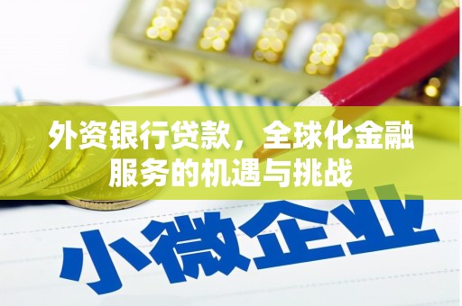 湖北外资银行贷款，全球化金融服务的机遇与挑战