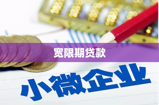 湖北宽限期贷款