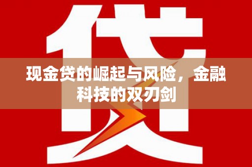 湖北现金贷的崛起与风险，金融科技的双刃剑