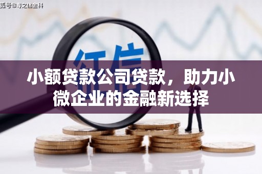 湖北小额贷款公司贷款，助力小微企业的金融新选择
