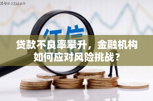 湖北贷款不良率攀升，金融机构如何应对风险挑战？