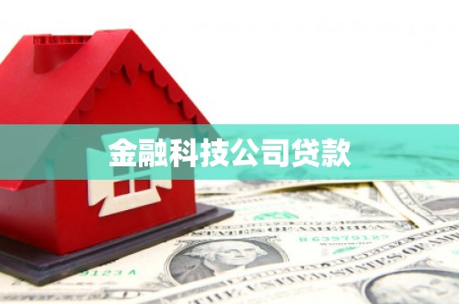 湖北金融科技公司贷款