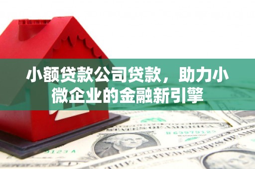 湖北小额贷款公司贷款，助力小微企业的金融新引擎