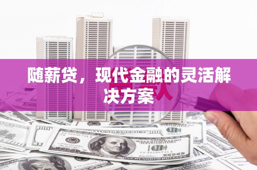 湖北随薪贷，现代金融的灵活解决方案