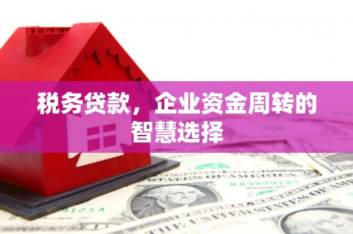 湖北税务贷款，企业资金周转的智慧选择