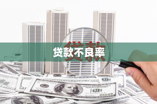 湖北贷款不良率