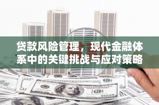 湖北贷款风险管理，现代金融体系中的关键挑战与应对策略